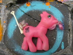 Umbra poneiului roz la Timişoara