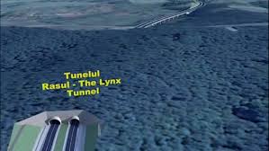 Șanse ca porțiunea cu tuneluri pentru urși din autostrada A1 să fie finalizată mai repede decât este prevăzut
